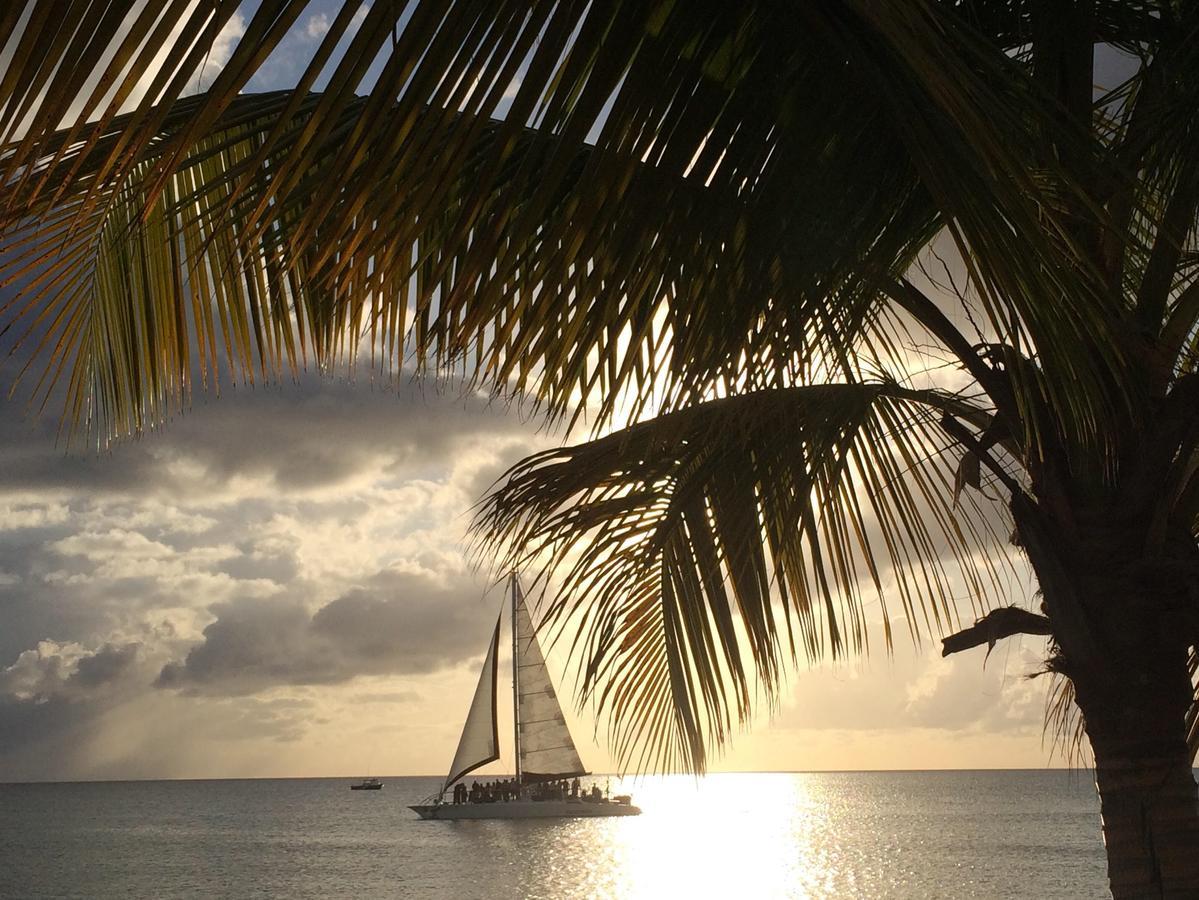 Sand Castle On The Beach - Adults Only Frederiksted Екстер'єр фото