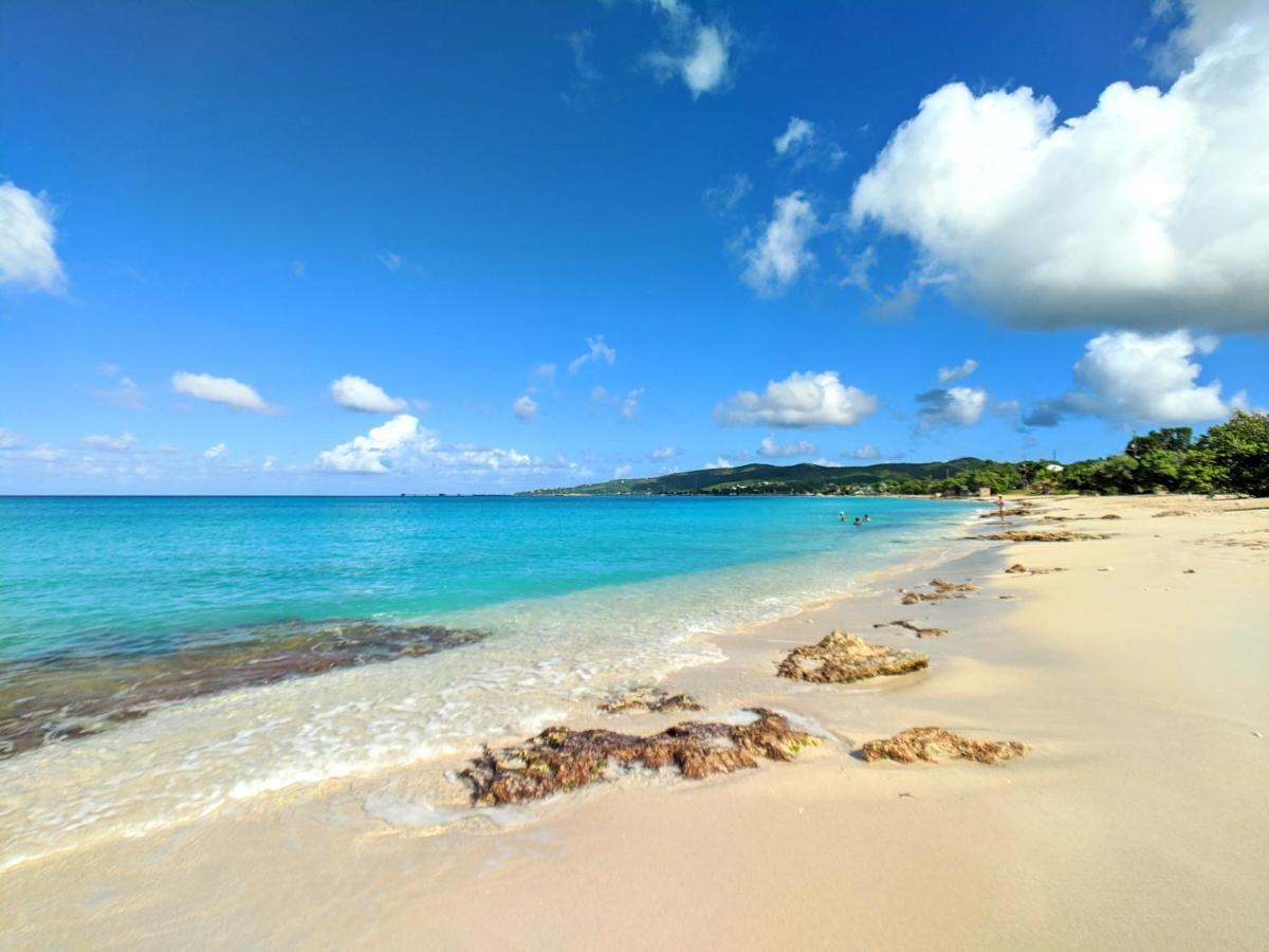 Готель Sand Castle On The Beach - Adults Only Frederiksted Екстер'єр фото